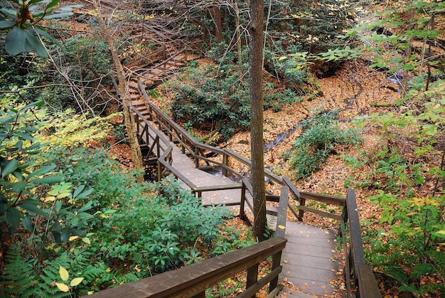 Free photo autumn hiking trail