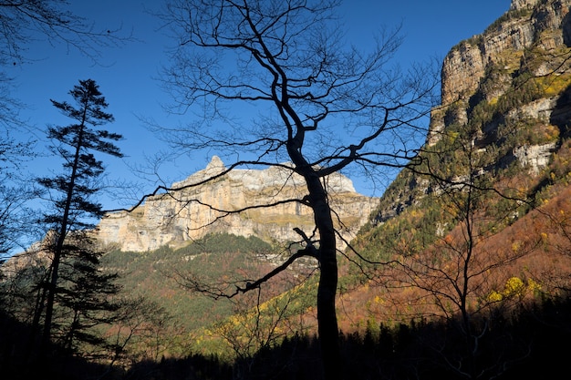 Ordesa National Park、ピレネー、ウエスカ、アラゴン、スペインの秋の風景