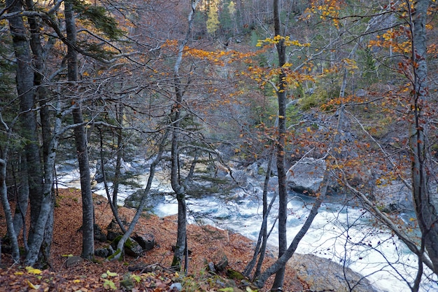 Ordesa National Park、ピレネー、ウエスカ、アラゴン、スペインの秋の風景