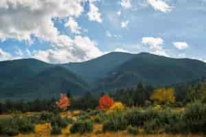 Free photo autumn landscape view of the pirin mountains on an autumn day change of seasons