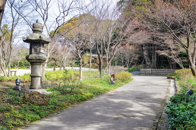 葉の木が秋の風景