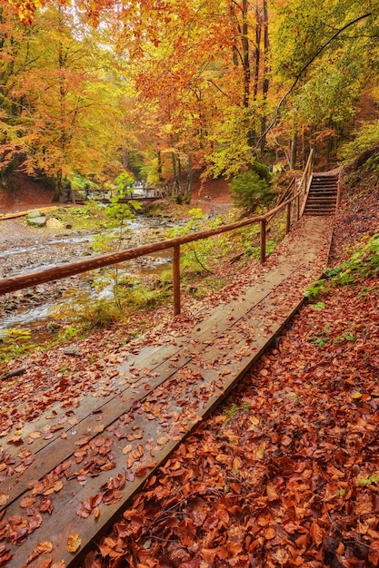 Autumn landscape wooden bridge in the autumn park