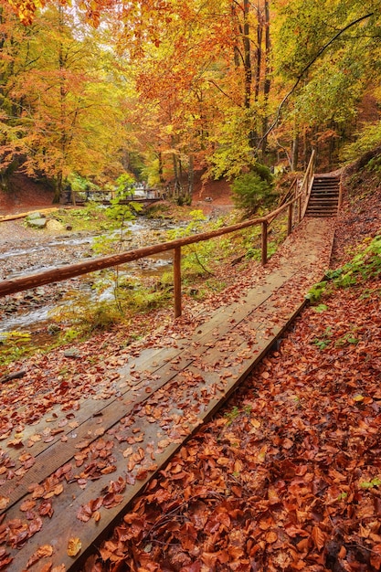 秋の公園の秋の風景木造橋