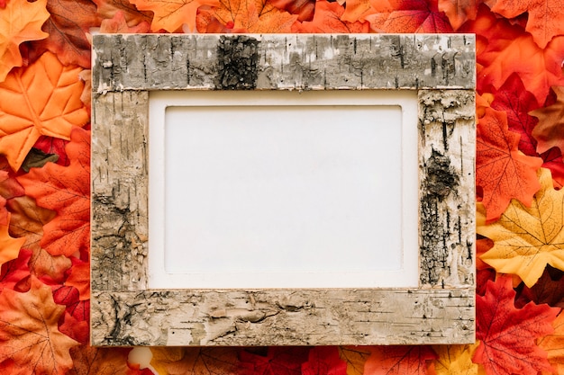 Autumn leave composition with picture frame
