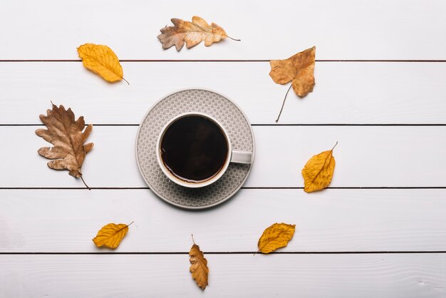 Autumn leaves around cup