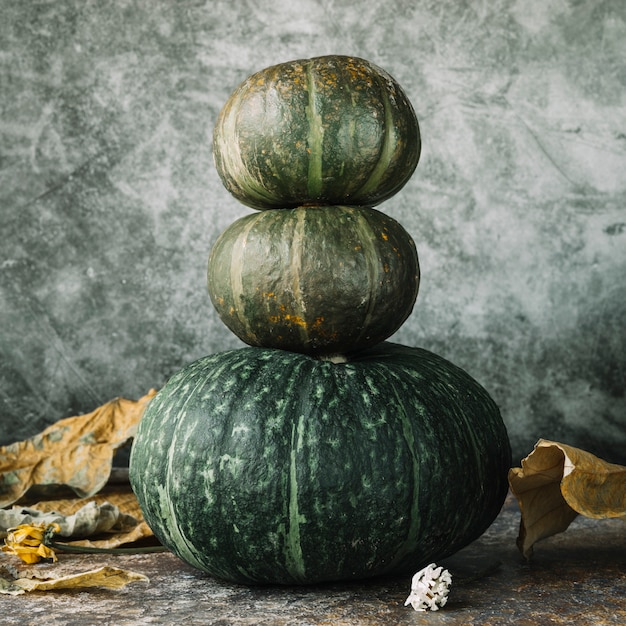 Autumn leaves around squashes