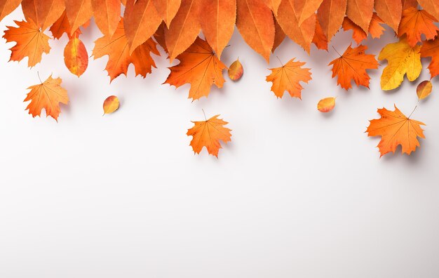 Autumn leaves arrangement with copy space