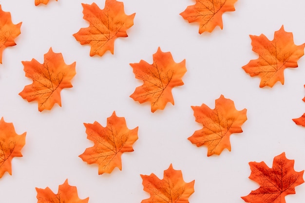 Free photo autumn leaves background texture