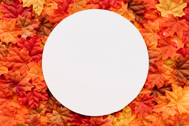 Autumn leaves background with round frame