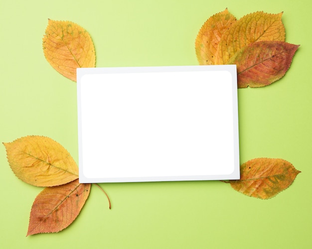 Autumn leaves and blank paper