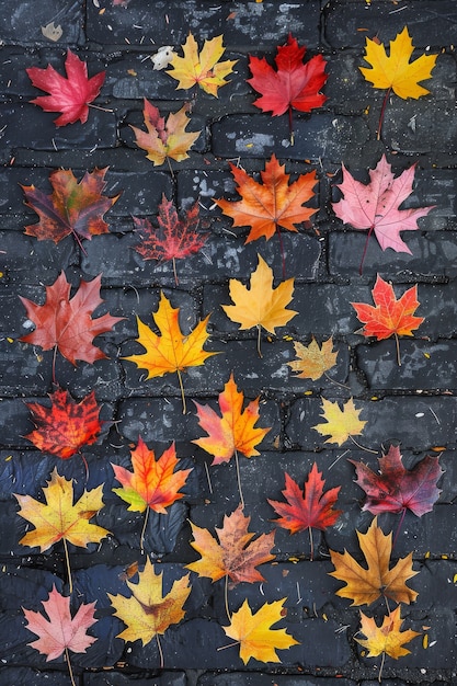 Foto gratuita composizione delle foglie d'autunno