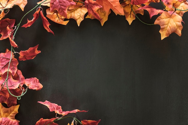 Autumn leaves on dark background