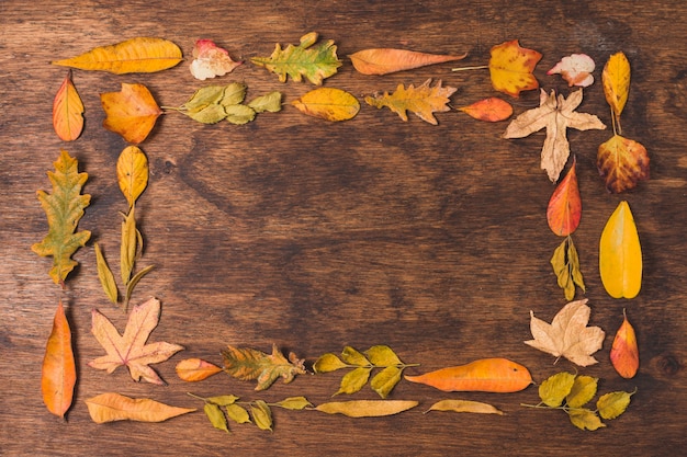 Осенние листья двойная рамка на деревянном фоне