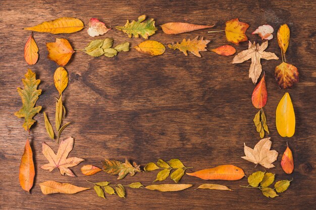 Autumn leaves double frame on wooden background