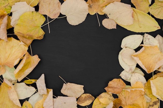 Free photo autumn leaves flat lay with copy space