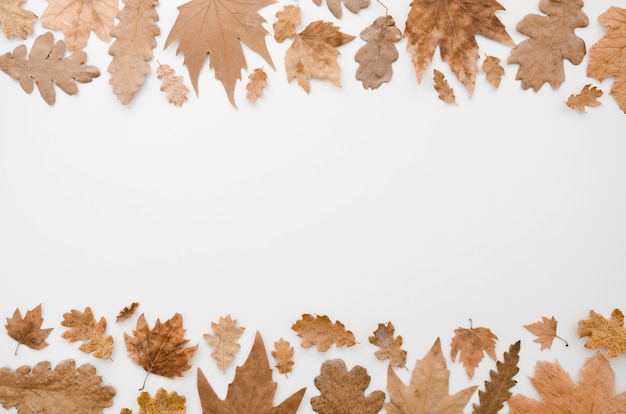 Free photo autumn leaves flat lay with copy space