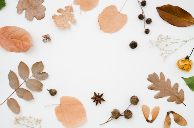 Autumn leaves flat lay with copy space