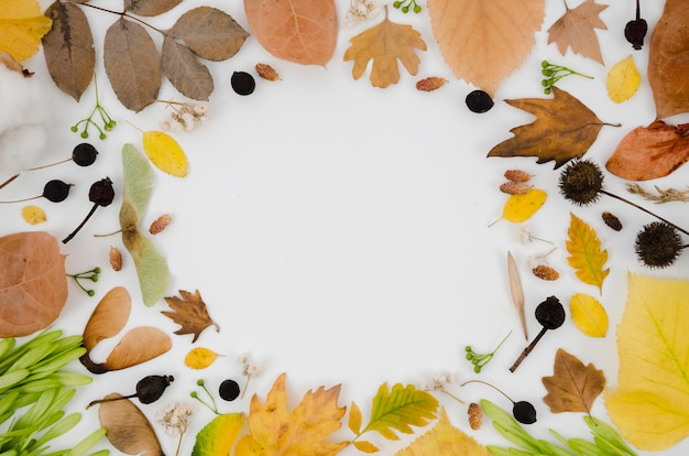 Free photo autumn leaves flat lay with copy space