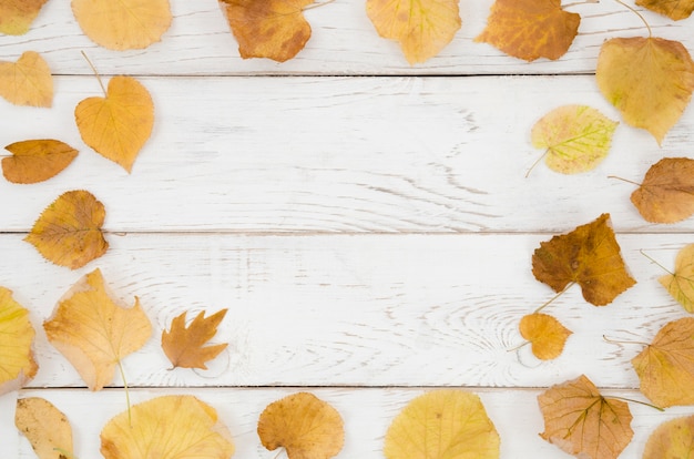 Foto gratuita le foglie d'autunno distese con lo spazio della copia