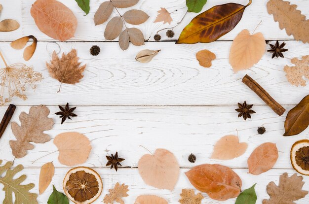 Autumn leaves flat lay with copy space