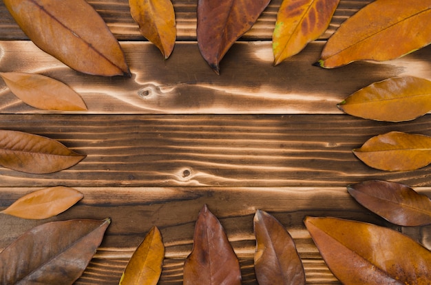 Free photo autumn leaves flat lay with copy space