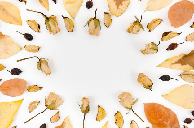 Autumn leaves flat lay with copy space