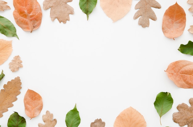 Free photo autumn leaves flat lay with copy space