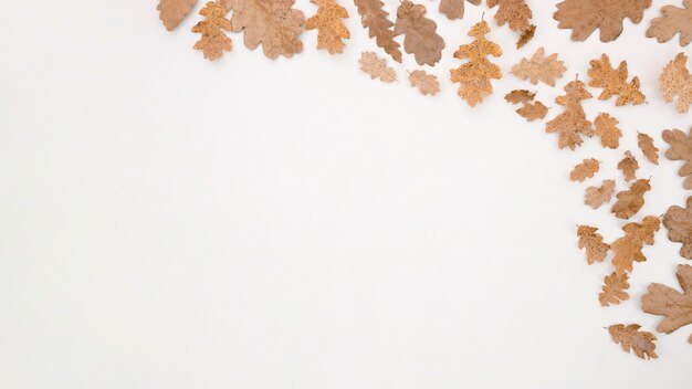 Autumn leaves flat lay with copy space