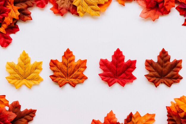 Autumn leaves laying inside leaf border