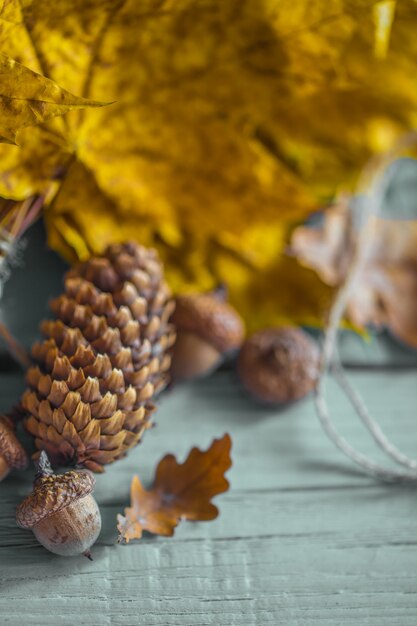 Autumn leaves, pinecone and acorns