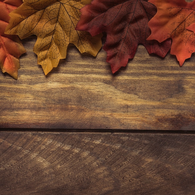 Free photo autumn leaves on rough wooden planks