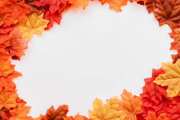 Autumn leaves in rounded frame composition