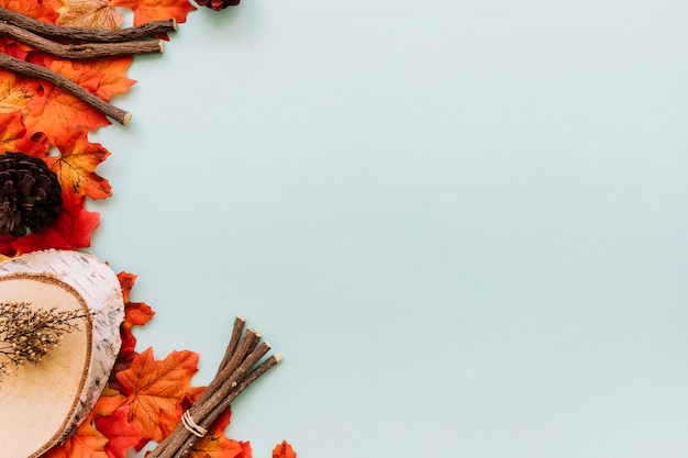 Autumn leaves and sticks flat lay