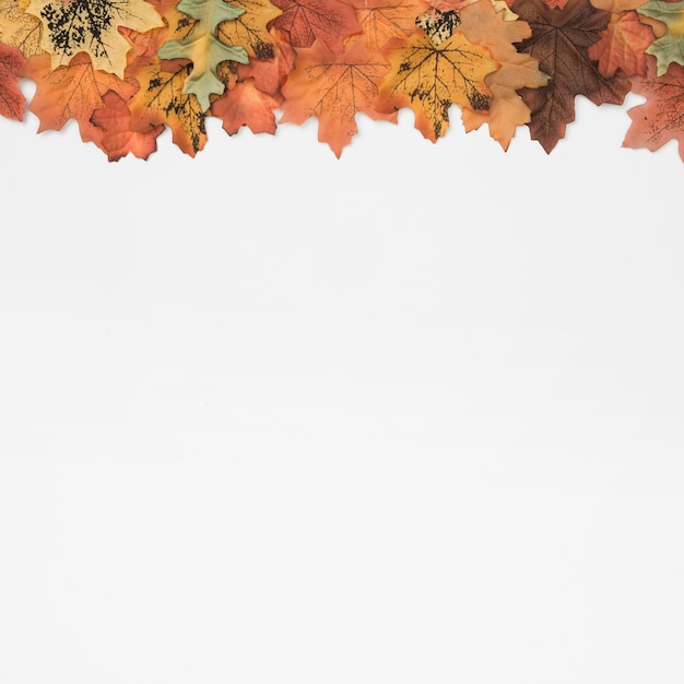 Autumn leaves top frame pattern