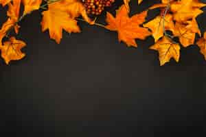 Free photo autumn leaves with space