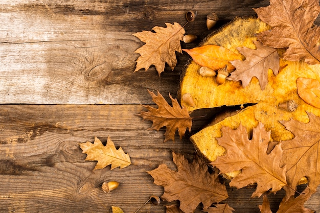 Foto gratuita foglie autunnali su fondo in legno