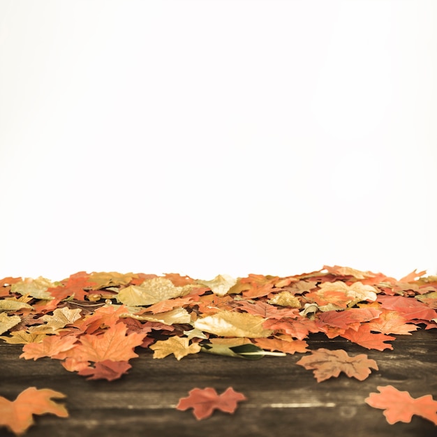 木製の地面に横たわる秋の葉