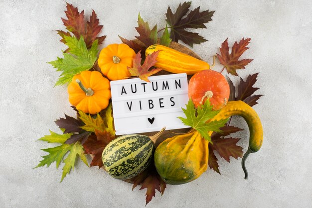 Autumn message on lightbox arrangement