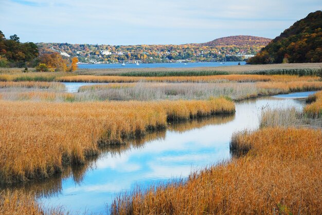 Free photo autumn mountain with lake