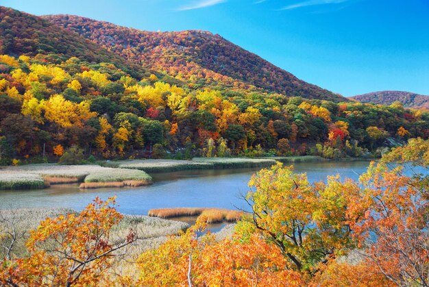 호수와 가을 산