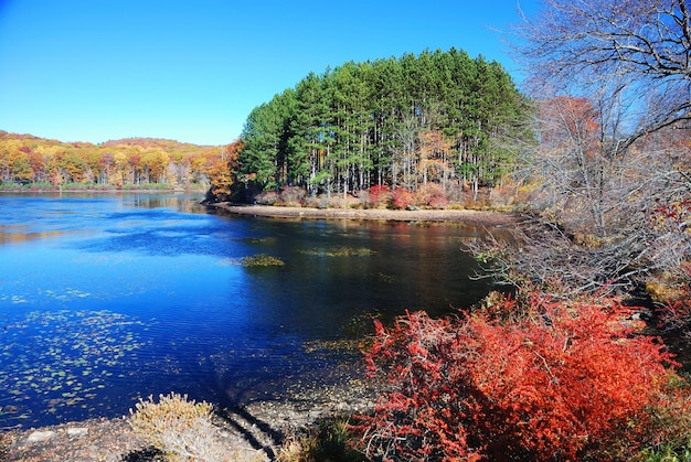 Foto gratuita montagna d'autunno con il lago
