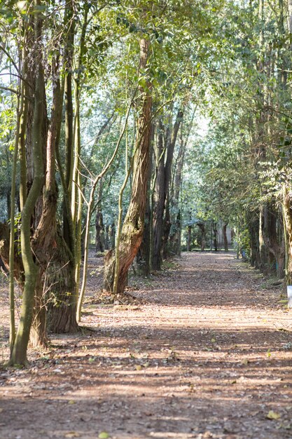 公園で秋