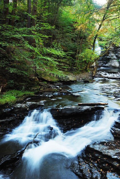 Autumn River in woods