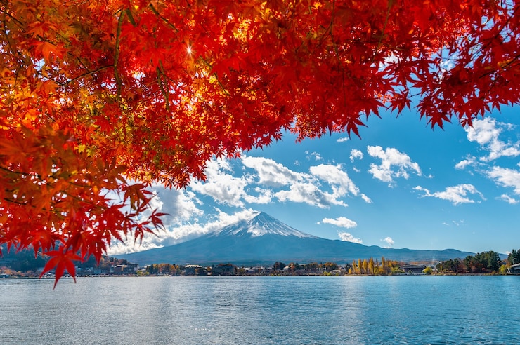 無料Photo 河口湖の秋の季節と富士山。