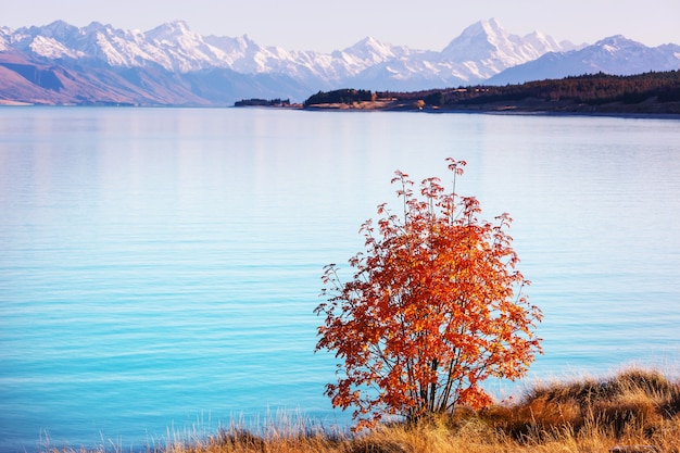 Осенний сезон в горах новой зеландии