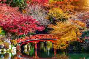 Free photo autumn season in japan, beautiful autumn park.