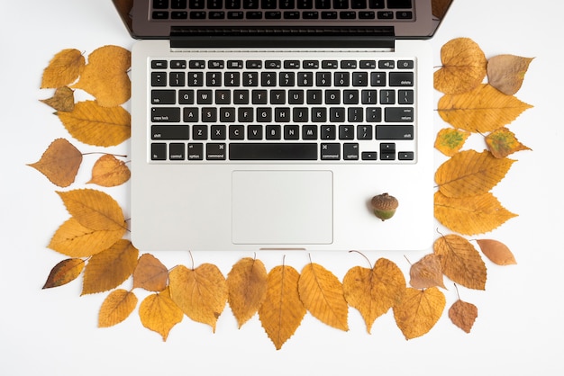 Foto gratuita autunno con laptop e ghianda