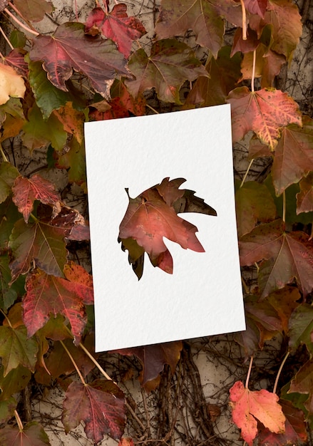 Free photo autumn shapes with leaves concept