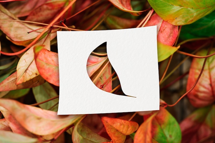 Free Photo autumn shapes with leaves concept