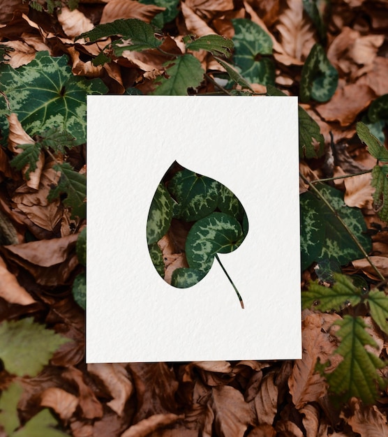 Free photo autumn shapes with leaves concept